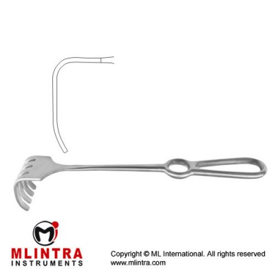 Israel Retractor 5 Blunt Prongs Stainless Steel, 25.5 cm - 10" Blade Size 45 x 50 mm